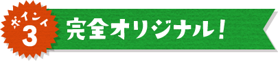 ポイント3 完全オリジナル！